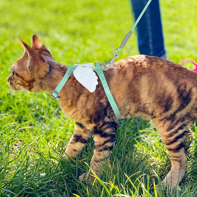 TIESOME Cat Harness and Leash Set, Adjustable Gradient Kitten Harness Escape Proof Harness with Leash for Kitty Outdoor Walking (Green)