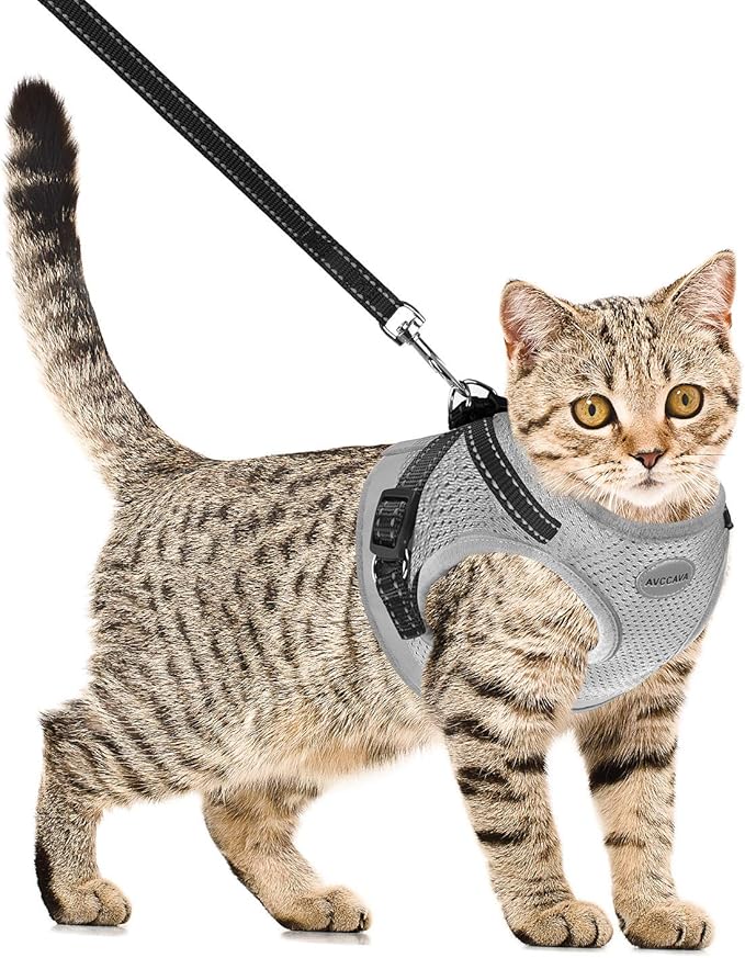 Cat Harness and Leash for Walking, Kitten Escape Proof Harnesses, Adjustable Reflective Puppy Harness with Leashes Set, Easy Adjustable Soft net Breathable Pet Safety Vest