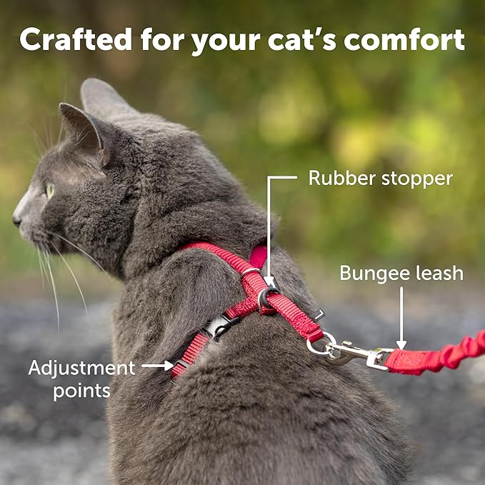 PetSafe Come with Me Kitty Harness and Bungee Leash, Medium, Dusty Rose
