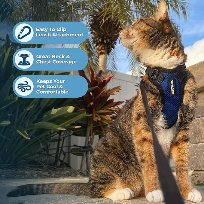 Voyager Step-in Lock Adjustable Cat Harness w. Cat Leash Combo Set with Neoprene Handle 5ft - Supports Small, Medium and Large Breed Cats by Best Pet Supplies - Royal Blue/Black Trim, S
