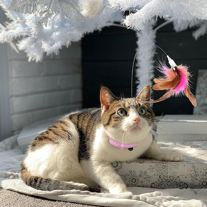 2pcs Cat Teaser Wand Toy, Cat Teasing Wand Collar Silicone Adjustable Cat Wand Toy Feather with Bell Cat Interactive Teaser Toys for Indoor Cat Kittens Playing Exercise (Pink)