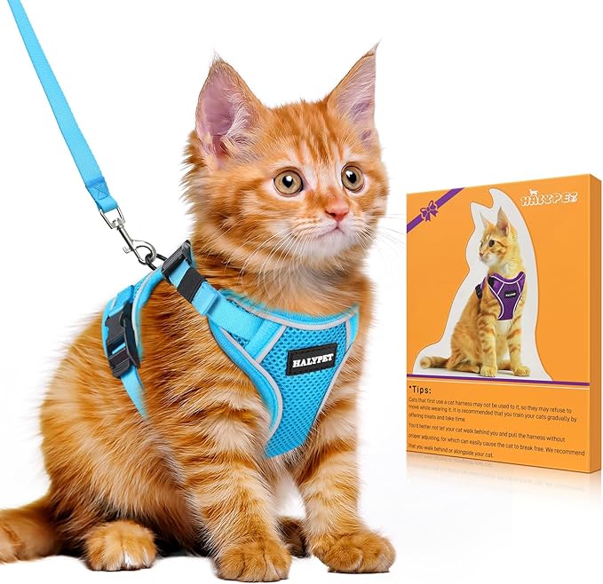 Halypet Cat Harness and Leash Set [MAX Safety 4th-Gen Upgrade] Escape Proof Adjustable Cat Leash Comfortable Soft Vest Easy to Wear Kitten Harness with Reflective Strip for Cats Walking, XS SkyBlue