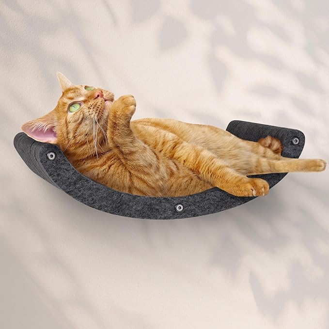 Cat Wall Hammock by Pryde Pets, Perch and Cat Shelf for Wall - 100% PET Felt, Sustainable - Modular Floating Shelf for Cats, Indoor/Outdoor Cat Furniture (Charcoal)