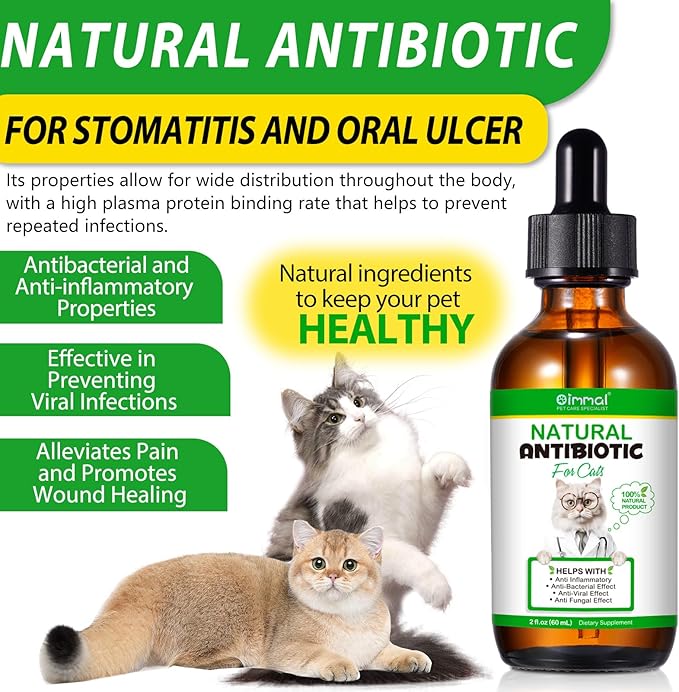 60ml Cat Antibiotics for Infections Antibiotics for Cats Cat Antibiotics Cat Immune Support Supplement Infection Antibiotics Natural Antibiotics for Cats Allergy Relief for Cats (120ml)