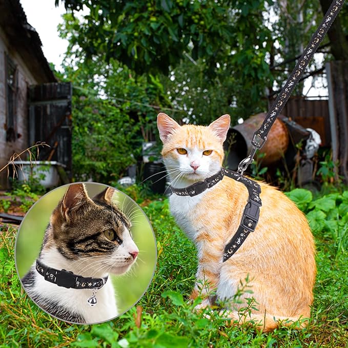 PAWCHIE Cat Harness with Leash and Collar Set - Escape Proof Adjustable Glow in The Dark Cat Harness for Kitty Outdoor Walking