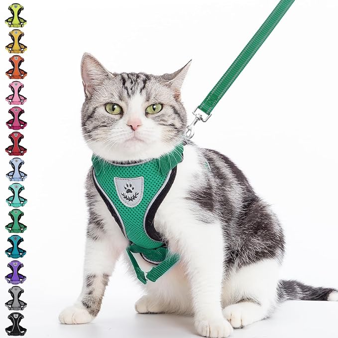PUPTECK Cat Harness and Leash Set Escape Proof Reflective Cat Walking Harness Adjustable Soft Breathable Mesh Vest for Small Pets, Dark Green, S