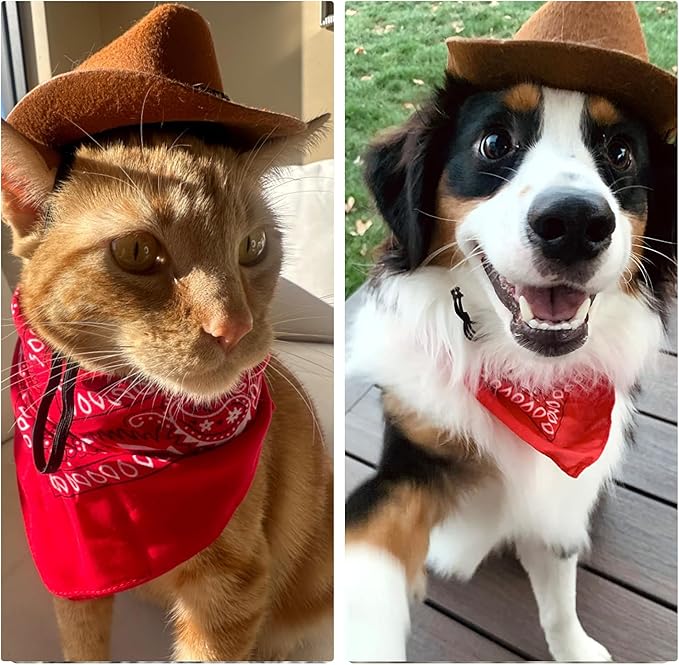 Tactical Cat Harness and Leash for Walking Escape Proof, Adjustable Cat Vest Harness Easy Control with Pet Cowboy Costume for Cat, Puppy and Small Dog (Red and Black)