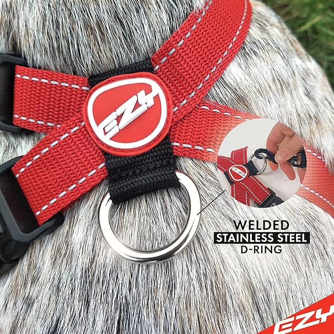 EzyDog Premium Chest Plate Custom Fit Reflective No-Pull Padded Comfort Dog Harness - Perfect for Training, Walking, and Control - Includes Car Restraint Attachment (Medium, Blue)