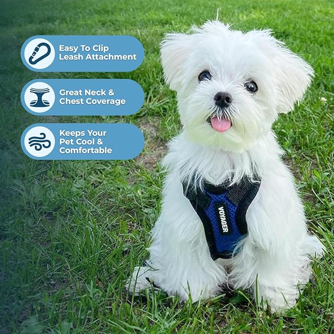 Voyager Step-in Lock Pet Harness - All Weather Mesh, Adjustable Step in Harness for Cats and Dogs by Best Pet Supplies - Royal Blue/Black Trim, S