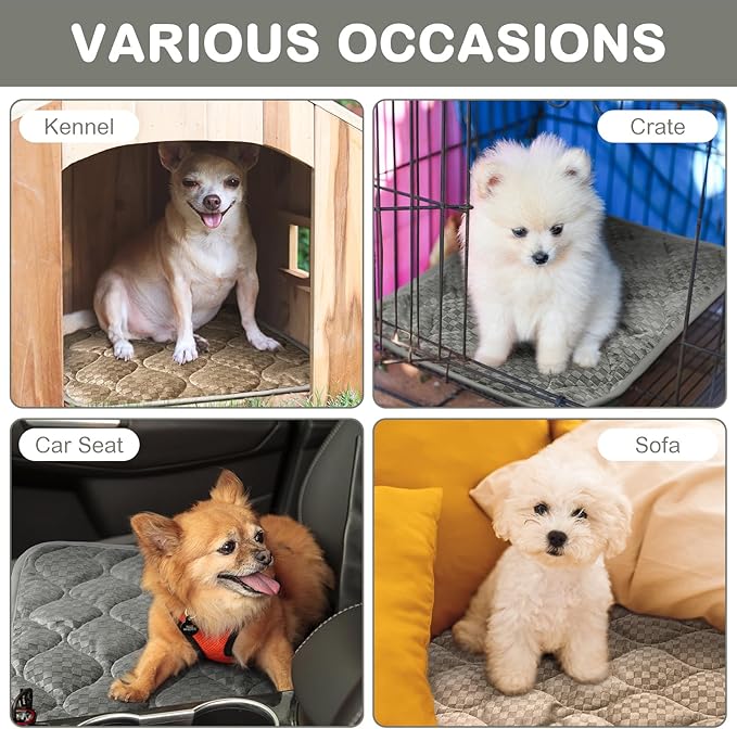 4 Pack Self Warming Cat Bed 16 x 20 Self Heating Cat Mat Warm Thermal Pet Pad Washable Dog Crate Pad Body Heat Dog Cat Bed Mat Blanket Non Slip Bottom for Outdoor Indoor Pets(Grey,Camel)