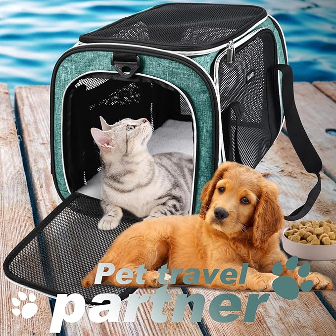 BAGLHER Pet Travel Carrier, Cat Carriers Dog Carrier for Small Medium Cats Dogs Puppies, Airline Approved Small Dog Carrier Soft Sided, Collapsible Puppy Carrier. Green