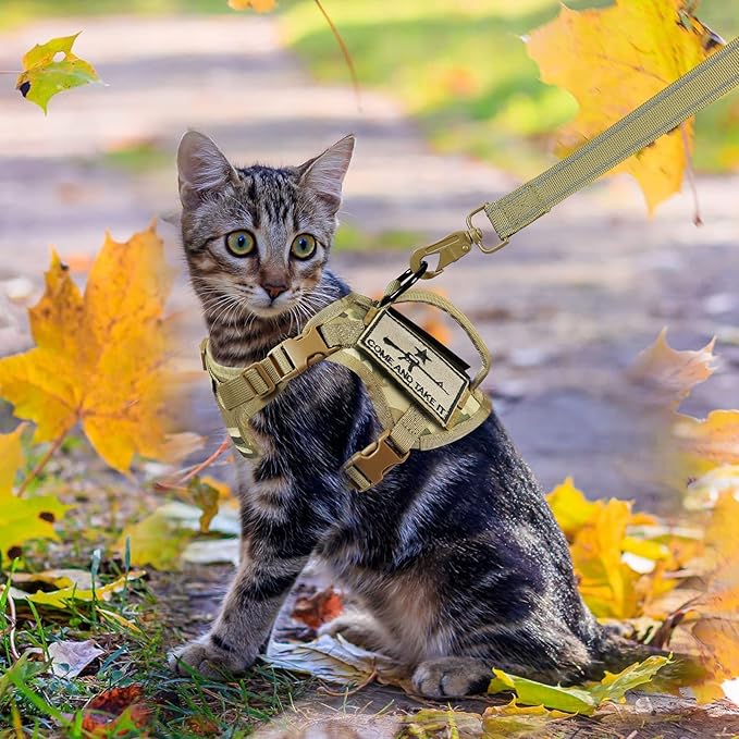 Tactical Cat Harness and Leash, Escape Proof Large Cat Walking Vest,Adjustable Soft Mesh Pet Vest Harness with Control Handle, Molle Patches (Large, Beige)