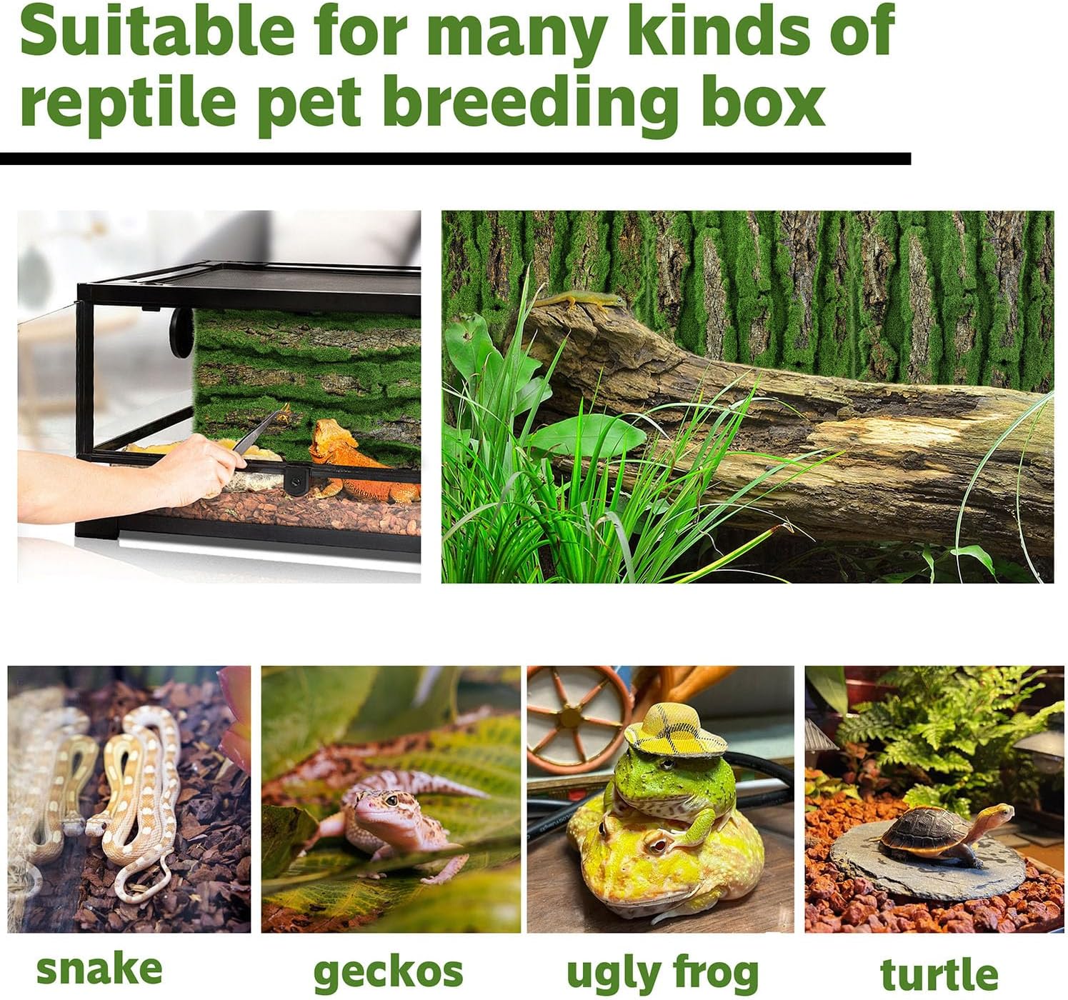 15.75x11.81in Reptile Terrarium Cork Background,Bearded Dragon Tank Bark Backdrop Wall Decor with Artificial Moss for Gecko Lizard Tortoise Frog Chameleon(2Pcs)