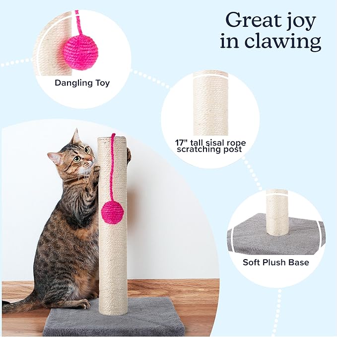 17-Inch Cat Scratching Post - Sisal Rope and Carpet Scratching Pole with Bright Pink Hanging Ball Toy for Adult Cats and Kittens by PETMAKER (Gray)