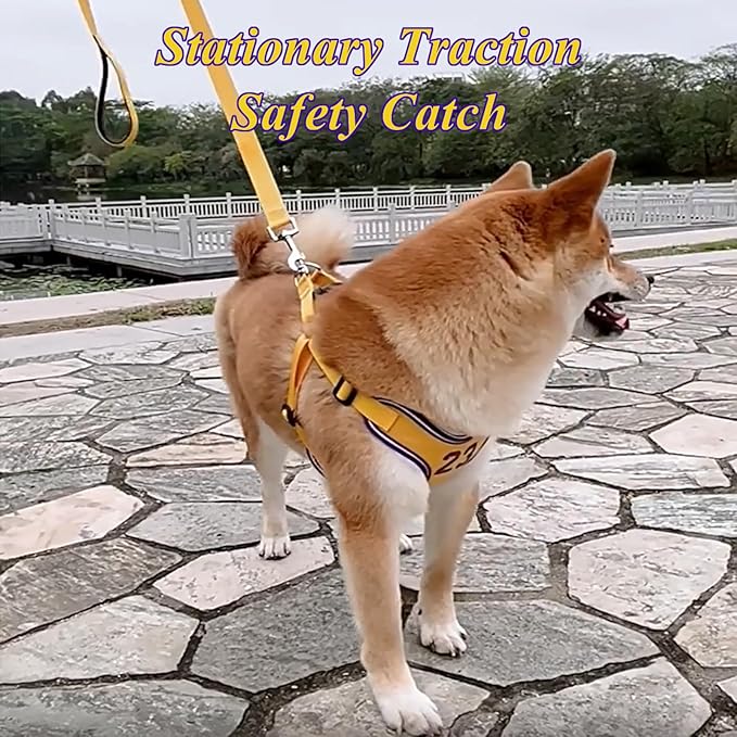 Dog Harness-Sporty Style Escape Proof Dog Harness -Adjustable Reflective Number Dogs Vest with Outdoor Pet Leash, Easy Control for Small,Medium Breeds (Yellow,S)