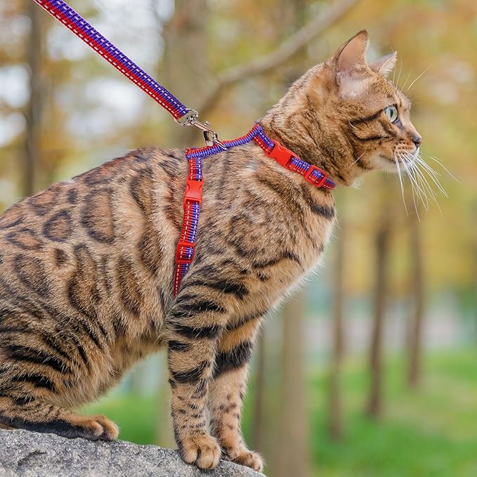 PUPTECK Adjustable Cat Harness and Leash Set Escape Proof Kitten Strap Collar for Walking Travel, Red Blue