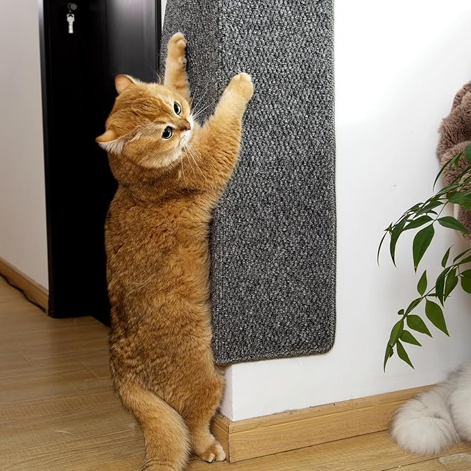 SHENGOCASE Thickened Cat Wall Corner Climbing Carpet, Cat Wall Furniture, Wall Corner Scratcher, Scratching Post (Gray)