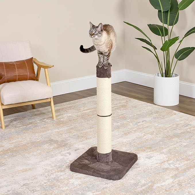Feline Nuvo Medium, Forte Scratching Post- Brio