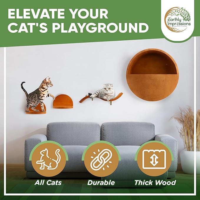 Modern Floating Wall Cat Shelves with Hiding Perch - 4 Piece Set for Climbing & Lounging - Stylish Wall-Mounted Cat Furniture