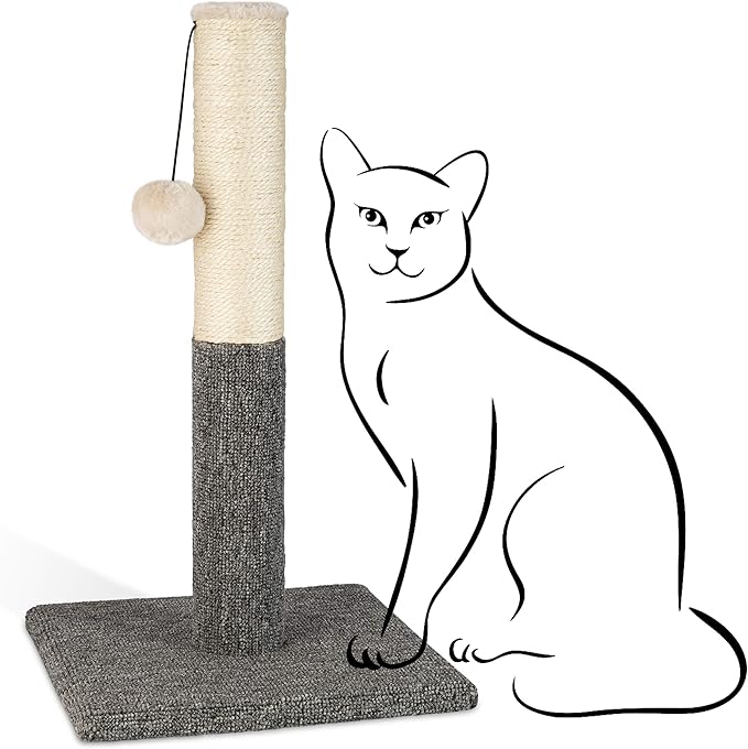 PAWBEE 20" Tall Cat Scratching Post for Indoor Cats - Durable Sisal Rope Scratcher Pole with Playful Hanging Ball - Ideal Cat Tower Alternative for Kittens and Large Cats - Sturdy Cat Scratchers
