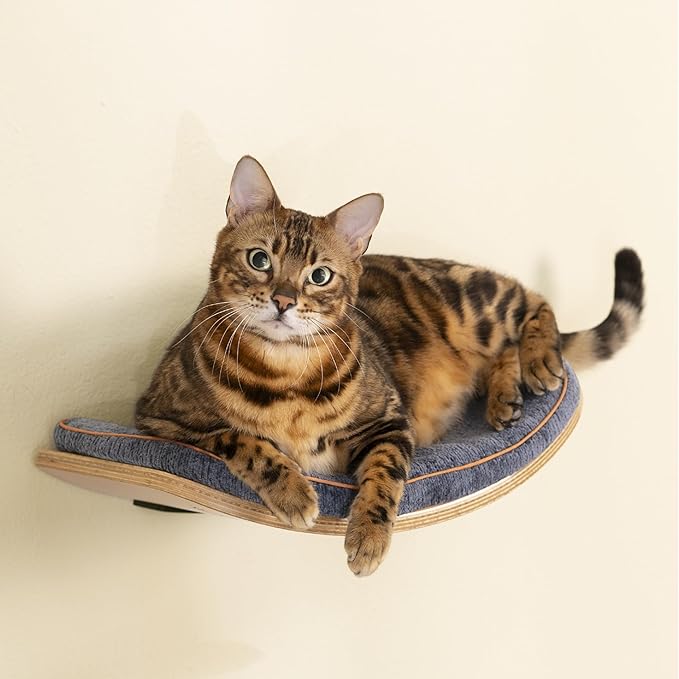 Cat Shelves, Cat Wall Steps and Perch, Cat nest, Wooden Floating Cat Climbing Furniture for Hopping and Sleeping, with Scratching Cushion（Perch）