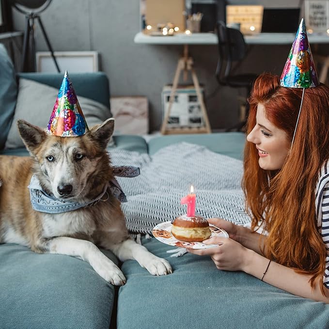 96 Pcs Dog Birthday Party Plates Napkins Forks Supplies Tableware Set Disposable Paper Dog Theme Decoration for Kids Birthday Party, Serves 24 Guests