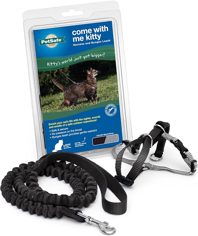 PetSafe Come with Me Kitty Harness and Bungee Leash, Large, Black