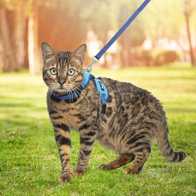 PUPTECK Cat Harness and Leash Set Escape Proof, Reflective Adjustable Soft Mesh Kitten Vest Harness for Walking Travel, Blue, M