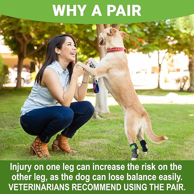 2PCS Dog Braces for Back Leg for Support. Dog Arthritis Brace. Hind Leg Support for Dogs. Leg Brace for Dogs Back Leg. Dog Leg Brace. Dog Back Leg Support Brace. Dog Hock Brace Rear Leg (L)