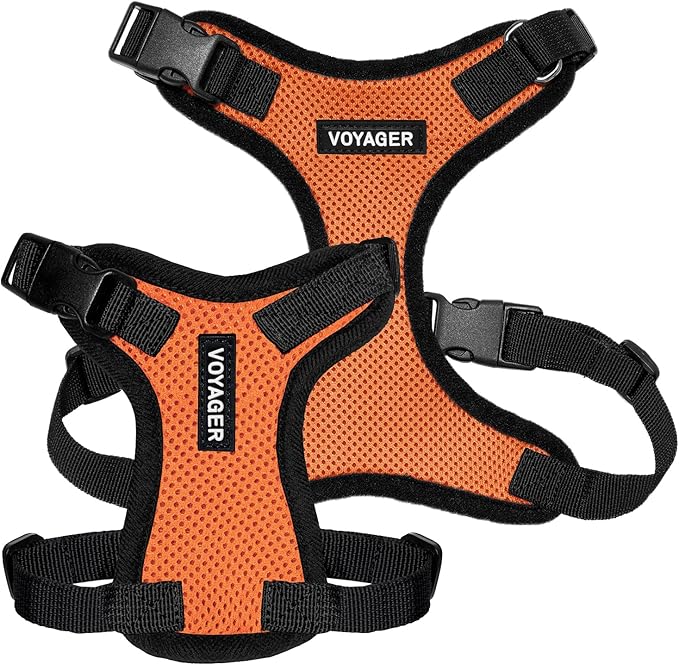 Voyager Step-in Lock Pet Harness - All Weather Mesh, Adjustable Step in Harness for Cats and Dogs by Best Pet Supplies - Orange/Black Trim, XL