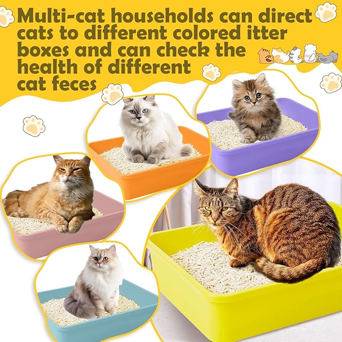 5 Pcs Kitten Small Litter Box Set, Open Cat Litter Box with 5 Scooper Medium，Cat Litter Box Large Portable Litter Box for Small Pet Kitty Supplies Little Cat 12.6 x 8.7 x 2.8 Inch