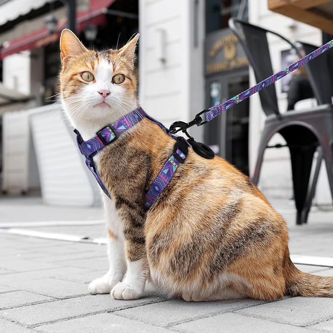 Cat Vest Harness and Leash Set with Airtag Holder, Adjustable Kitten Harness for Walking Escape Proof, Lightweight Soft and Comfortable Kitty Harness for Small Medium Large Cat