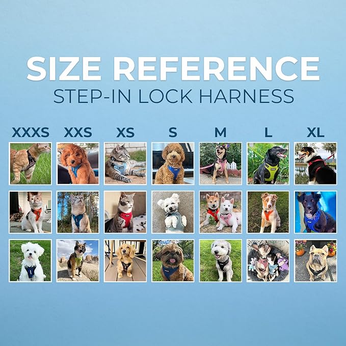 Voyager Step-in Lock Pet Harness - All Weather Mesh, Adjustable Step in Harness for Cats and Dogs by Best Pet Supplies - Turquoise/Black Trim, M