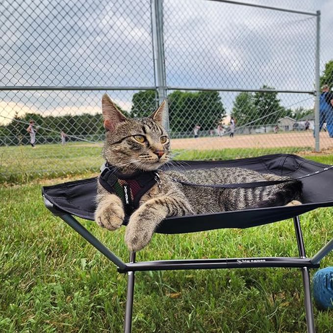 Voyager Step-in Lock Adjustable Cat Harness w. Cat Leash Combo Set with Neoprene Handle 5ft - Supports Small, Medium and Large Breed Cats by Best Pet Supplies - Army/Black Trim, XXS