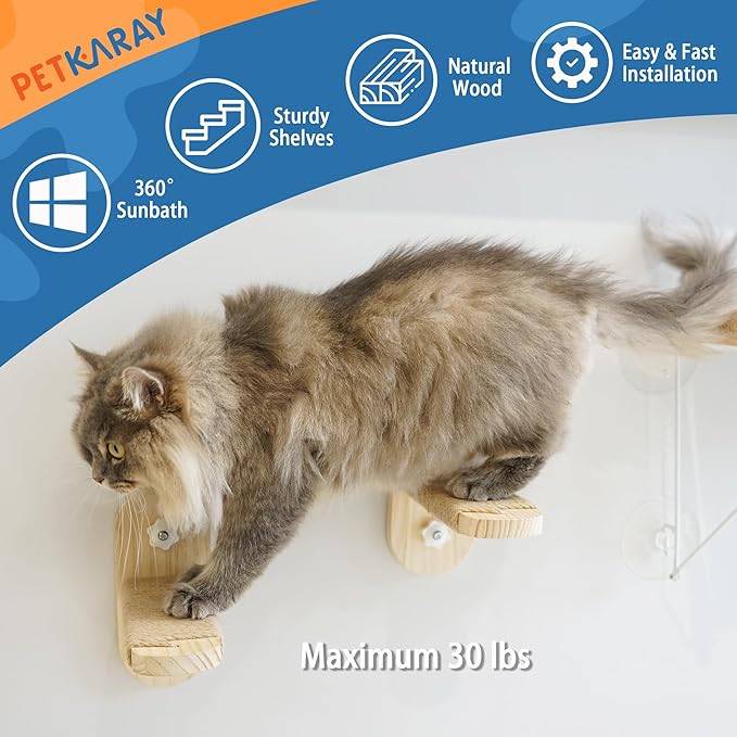 PETKARAY Cat Window Shelf, Original Cat Window Perch Stairs, Durable Cat Seat for Window Sill, Sturdy Window Step for Indoor Cats