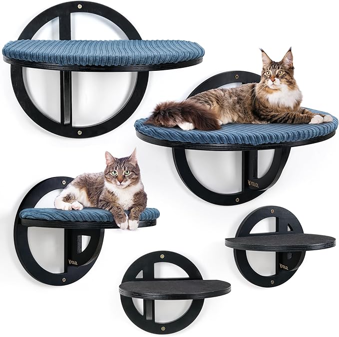 Bubble Cat Wall Shelves - Black Cat Wall Hammock,Modern 5 Large Steps & perches, Sturdy Indoor beds with Cushion for Sleeping, Climbing, Mount Scratcher - Decor Furniture, Easy Installation