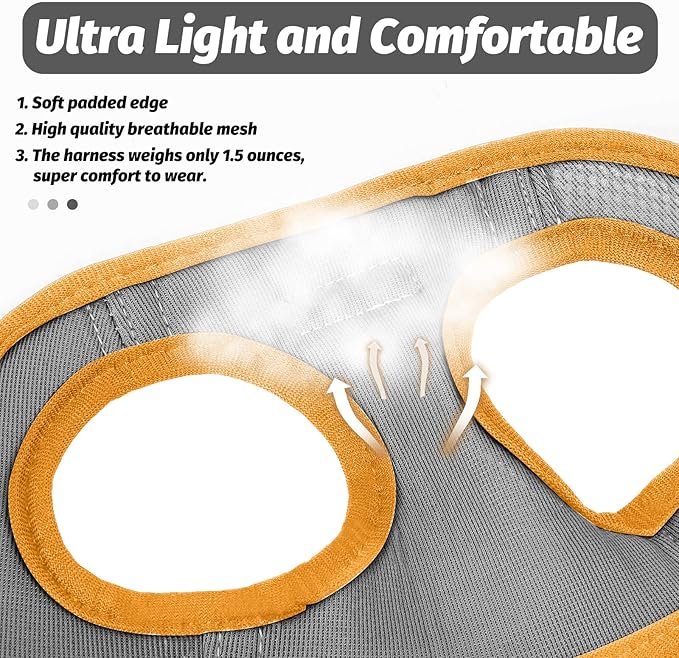 FAYOGOO Cat Harness, Cat Leash and Harness Set for Walking Escape Proof, Harness for Small Cats/Small Dogs, Large Kitten/Puppy Harness and Leash, Harness for Cats S-XXL(Gray, Medium)