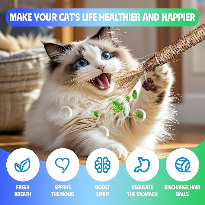 4 Pcs Cat & Kitten Chew Toy, Cat Toys Chew Ropes and Silvervine Cat Chew Sticks with Refillable Natural Catnip Bag for Teeth Cleaning, Safe Interactive Cat Toys for Indoor Cats