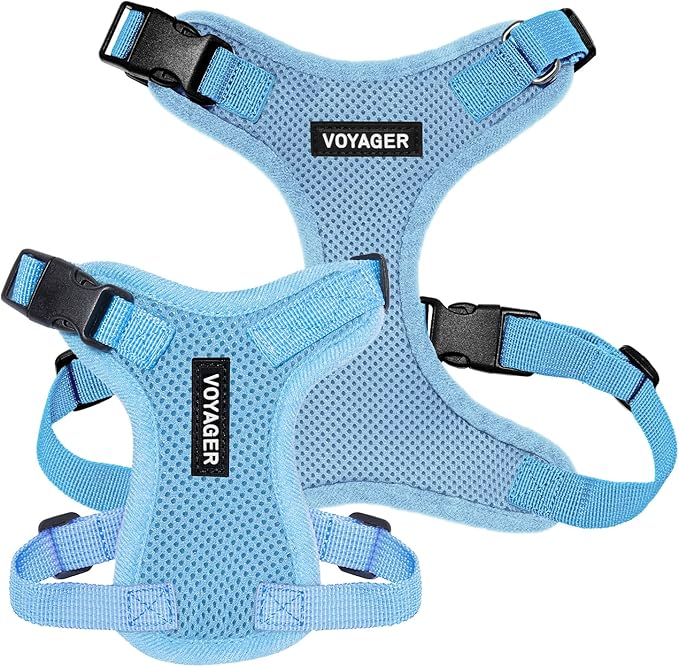Voyager Step-in Lock Pet Harness - All Weather Mesh, Adjustable Step in Harness for Cats and Dogs by Best Pet Supplies - Baby Blue, L