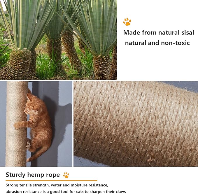 Cat Wall Shelves, Cat Wall Furniture, Cat Shelves and Perches for Wall, Cat Wall Steps Set with 2 Cat Condos House, 6 Cat Wall Shelves, 2Ladder, 1 Sisal Cat Scratching Post (C)