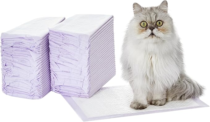 Amazon Basics Cat Pad Refills for Litter Box, Unscented, 60 Count (Pack of 1), Purple