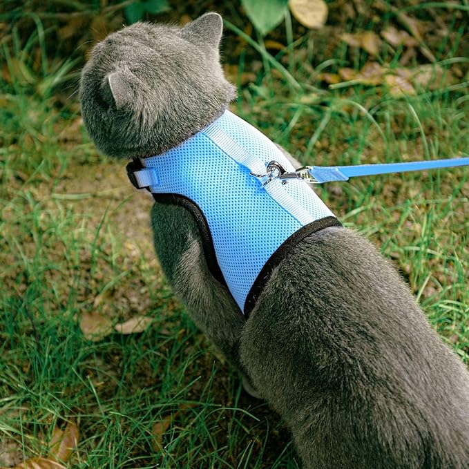 PUPTECK Soft Mesh Cat Vest Harness and Leash Set Puppy Padded Pet Harnesses Escape Proof for Cats Small Dogs, Blue Small