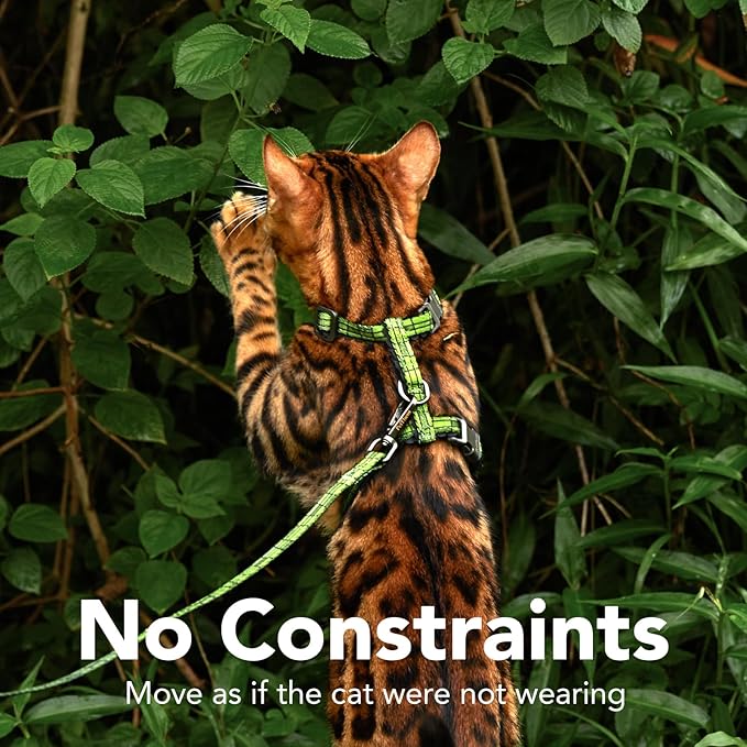 Cat Harness and Leash Set - Escape Proof Vest Harness for Cat, Comfortable Soft Lightweight, Easy Adjustable Cat Collar Harness for Small Medium Cats (Growling Crocodile)