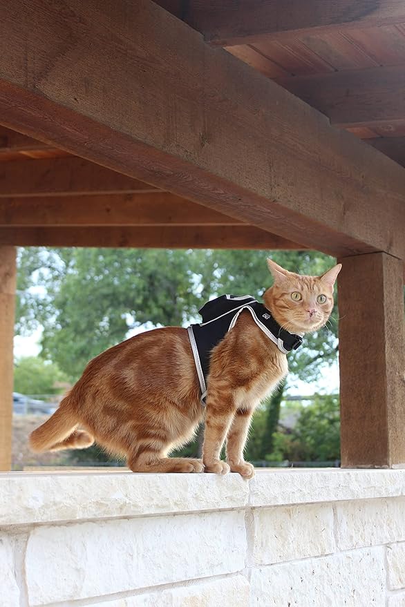 Travel Cat & Stray Cat Harness and Leash Set - Adjustable Velcro Mesh Cat Harness and Strong Nylon Leash Kit - Comfort Escape Proof Harness for Cats, Kitten for Outdoor Walking (Large: 13-16 in)