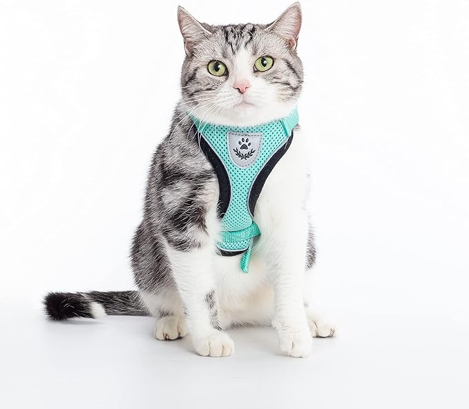 PUPTECK Cat Harness and Leash Set Escape Proof Reflective Cat Walking Harness Adjustable Soft Breathable Mesh Vest for Small Pets, Aquamarine, M