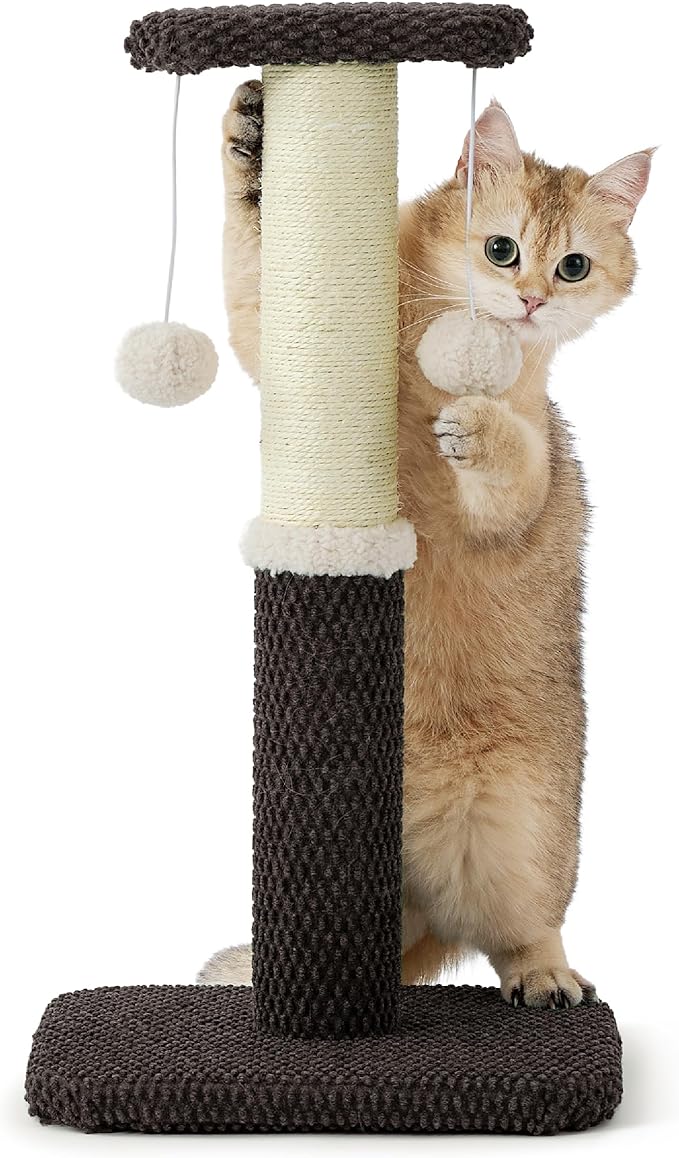 Lesure Cat Scratching Post for Indoor Cats - Highly Resistant Carpet Scratch Posts, Premium Sisal Rope Scratch Posts for Kittens, Sturdy Small Cat Scratch Pole with Hanging Ball, Brown(22.5 inch)