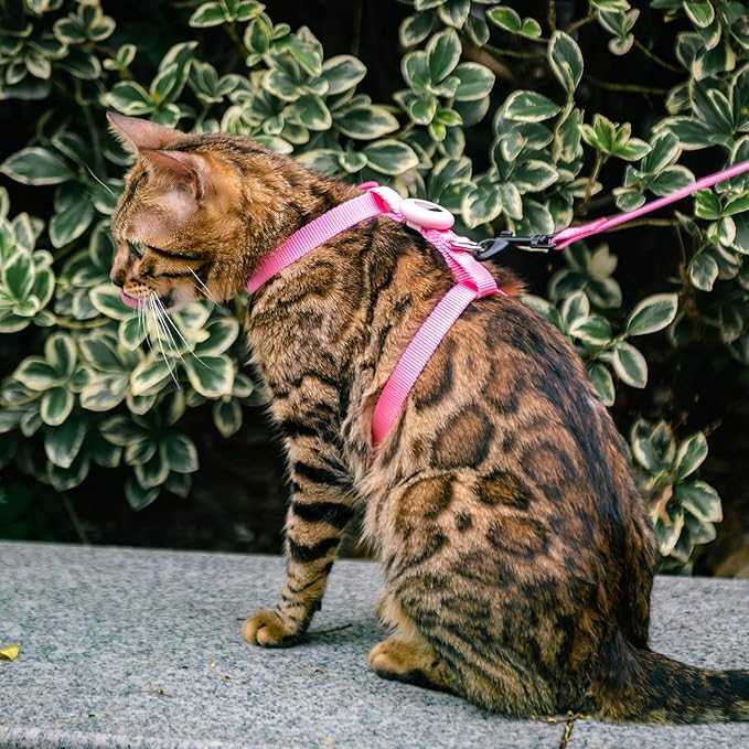 Cat Harness and Leash Set Escape Proof for Walking, Adjustable Cute Kitten Harness Leash with Airtag Holder for Small Large Cats, Lightweight Soft Walking Travel Harness (Pink)