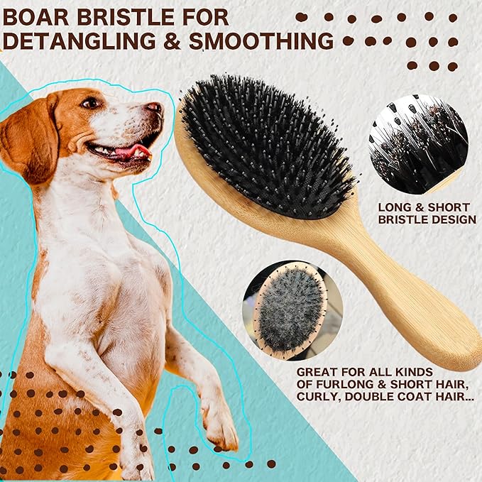 8 In 1 Cat Grooming Brushes for Short Hair, Cat Steam Brush, Bristle Shedding Brush, Flea Comb, Pet Grooming Glove, Dog Self Cleaning Brush for Short Haired Dogs Cats (short hair brush-blue)