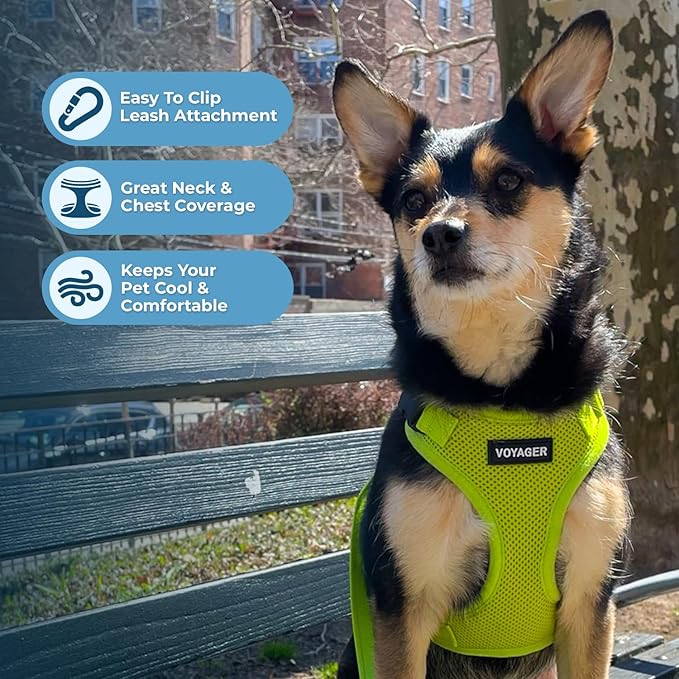 Voyager Step-in Lock Dog Harness w Reflective Dog Leash Combo Set with Neoprene Handle 5ft - Supports Small, Medium and Large Breed Puppies/Cats by Best Pet Supplies - Lime Green, XS