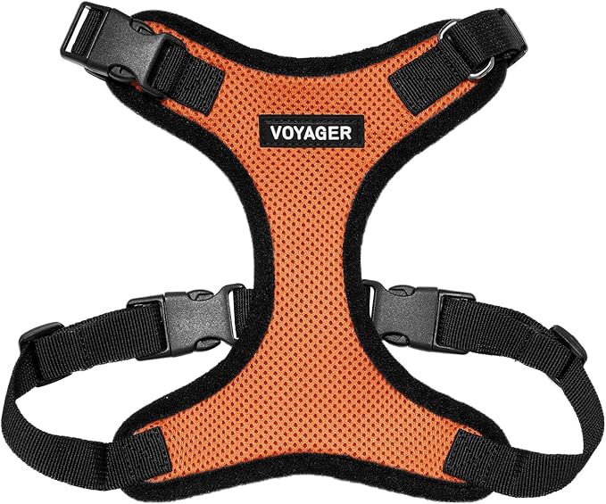 Voyager Step-in Lock Pet Harness - All Weather Mesh, Adjustable Step in Harness for Cats and Dogs by Best Pet Supplies - Orange/Black Trim, L
